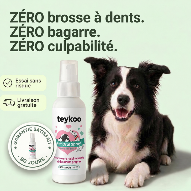 Spray dentaire Teykoo — visuel 1